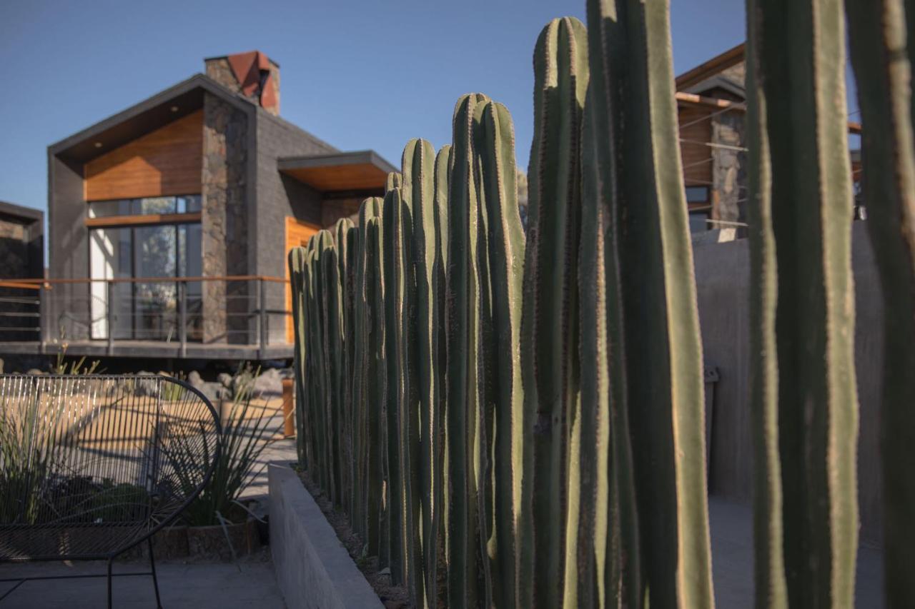 Sirius Valle Valle de Guadalupe Εξωτερικό φωτογραφία